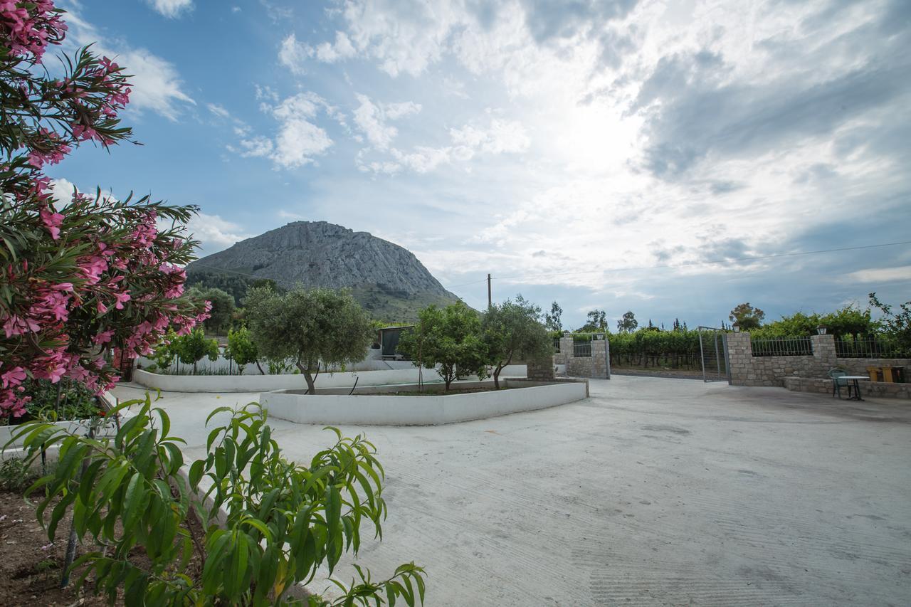 Acrocorinth Apartments Dış mekan fotoğraf